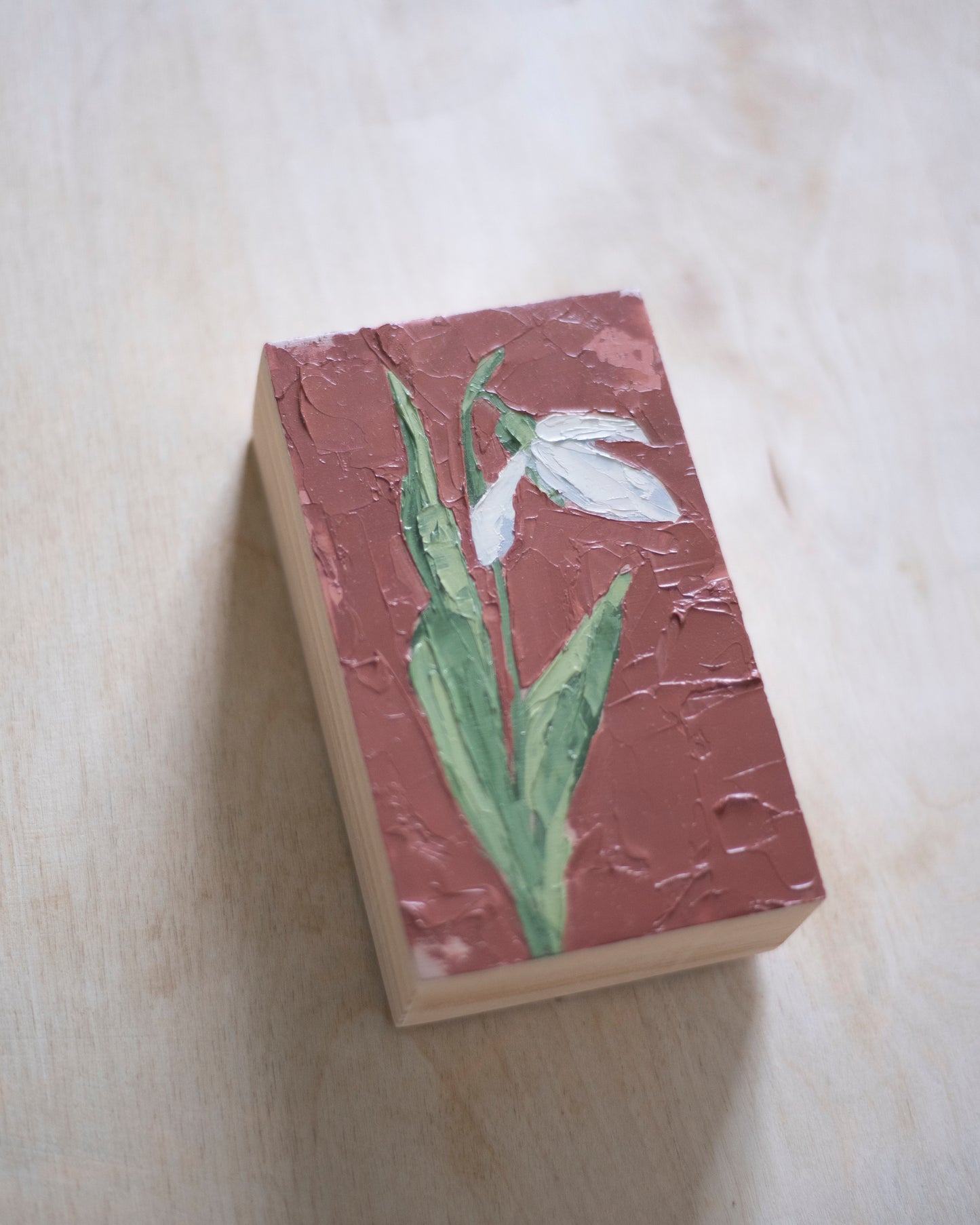 Snowdrop Warmed With Hope