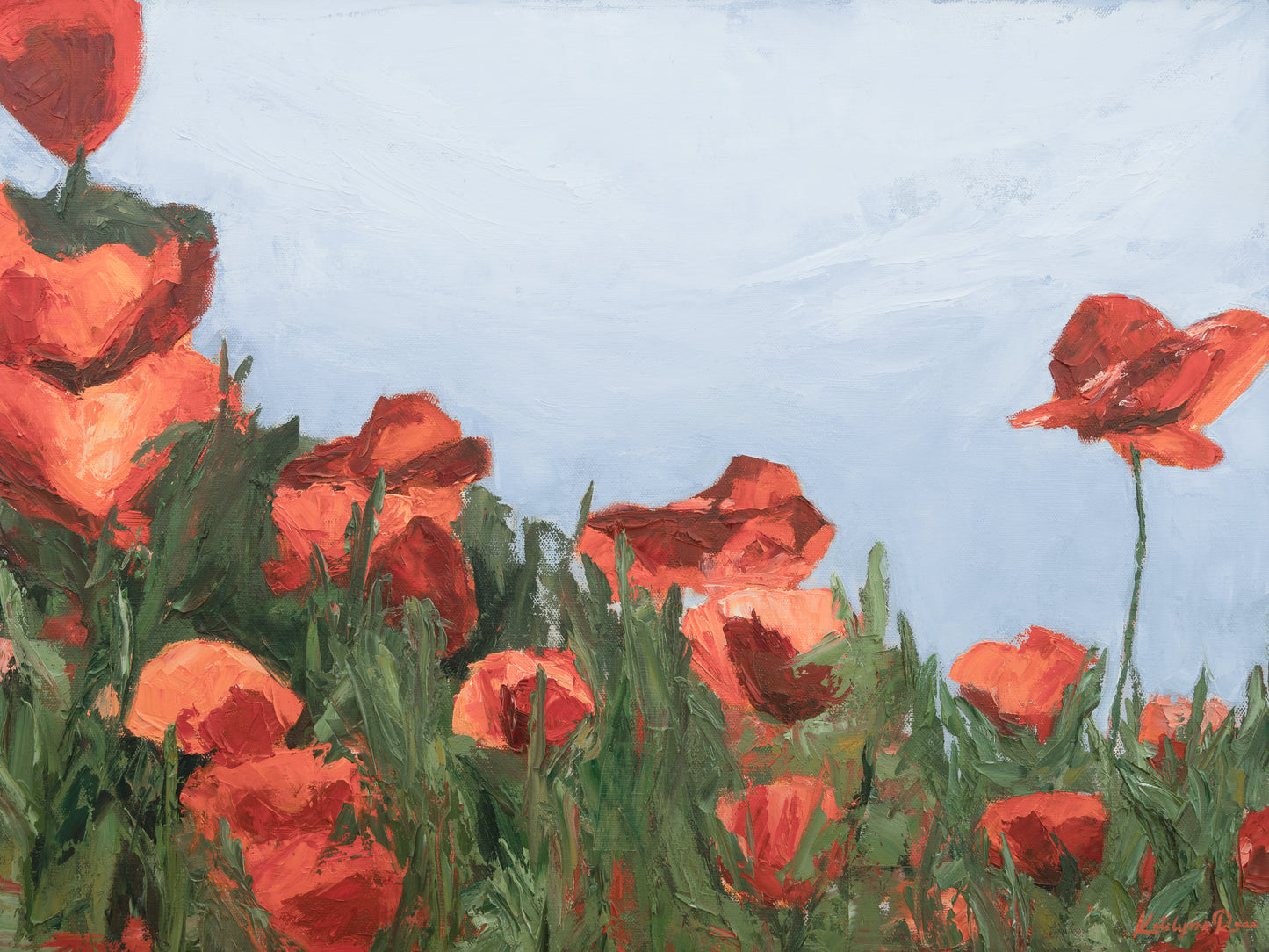 Poppies Bursting with Life Print