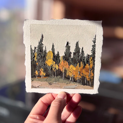 12/100 Painting on Paper