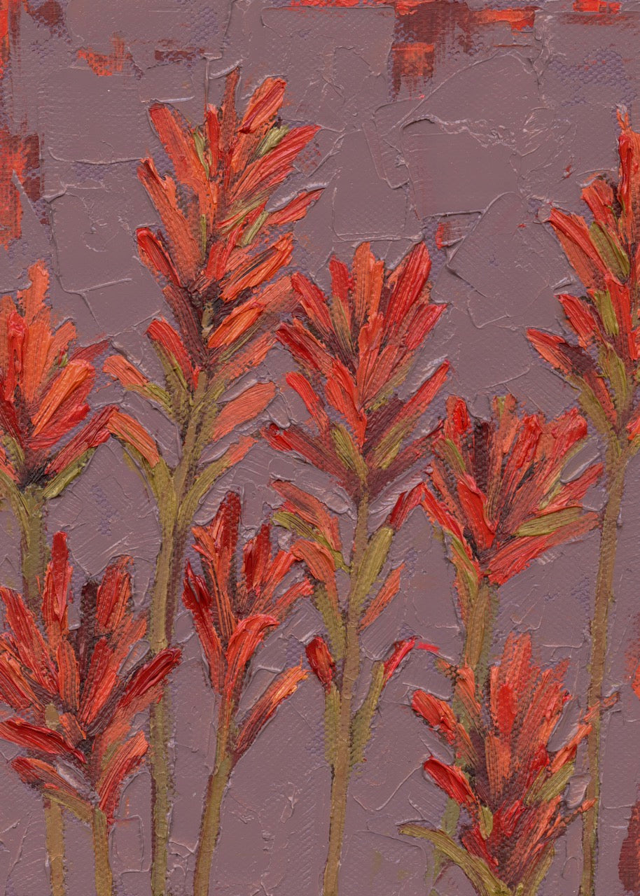 Indian Paintbrush Building Each other Up Print