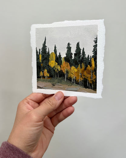 12/100 Painting on Paper