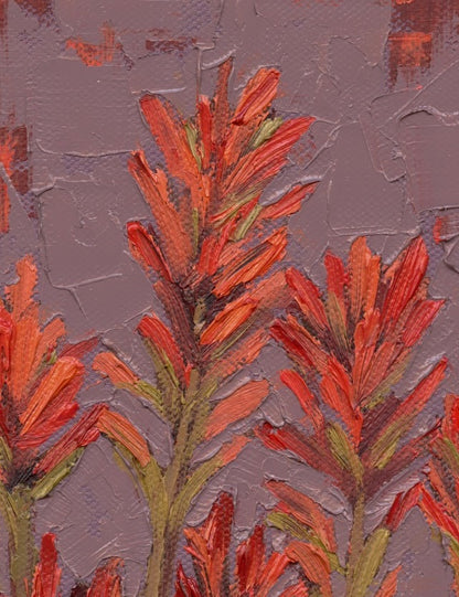 Indian Paintbrush Building Each other Up Print