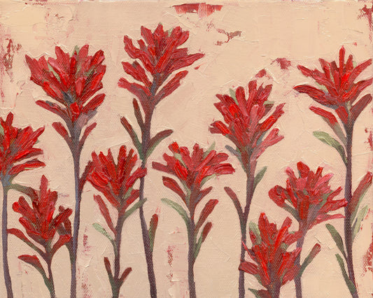 Indian Paintbrush Looking for Home Print