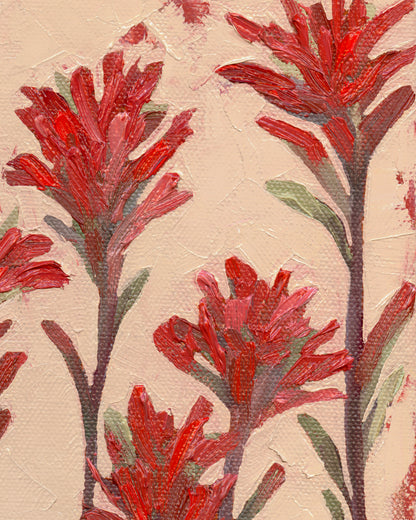 Indian Paintbrush Looking for Home Print