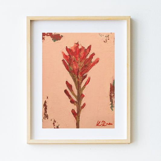 Indian Paintbrush Rising Up Print