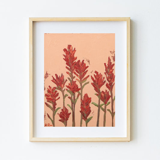 Indian Paintbrush Standing Together Print