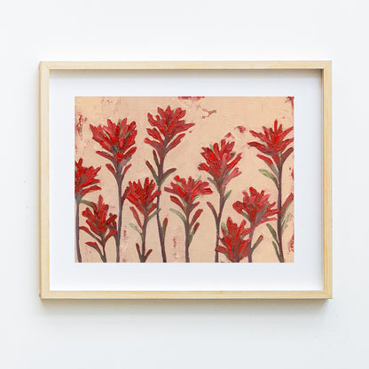 Indian Paintbrush Looking for Home Print