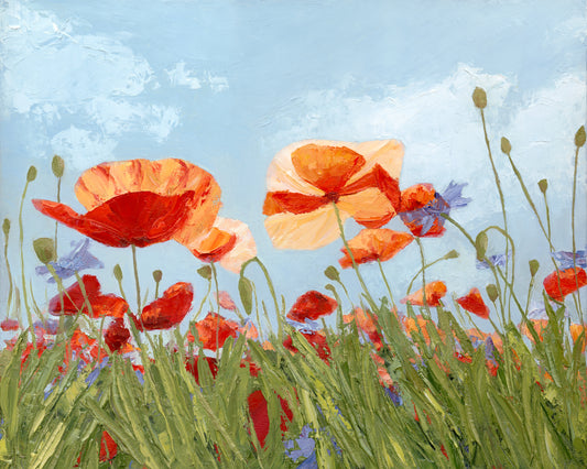 Poppies Soaking in the Light Print