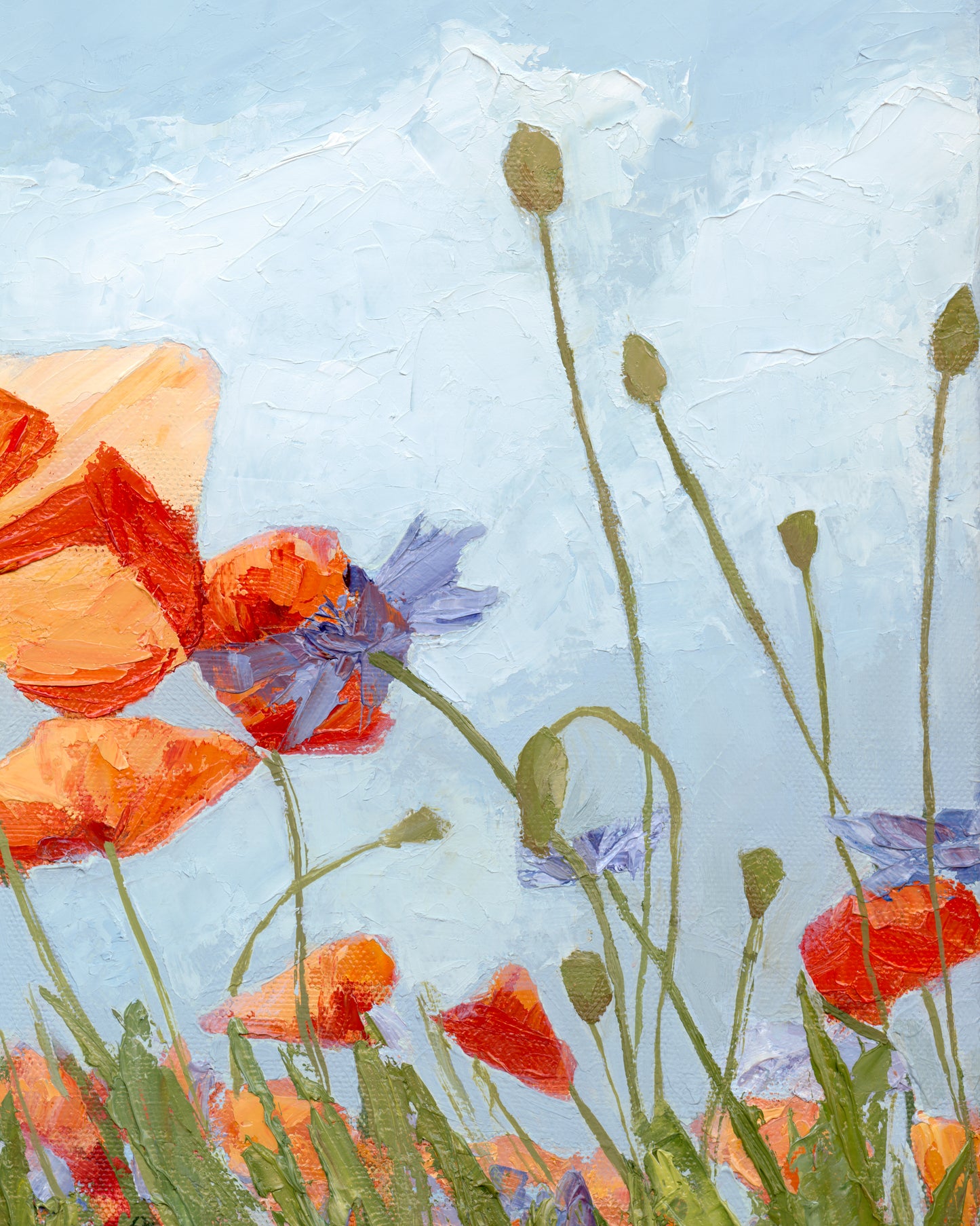 Poppies Soaking in the Light Print