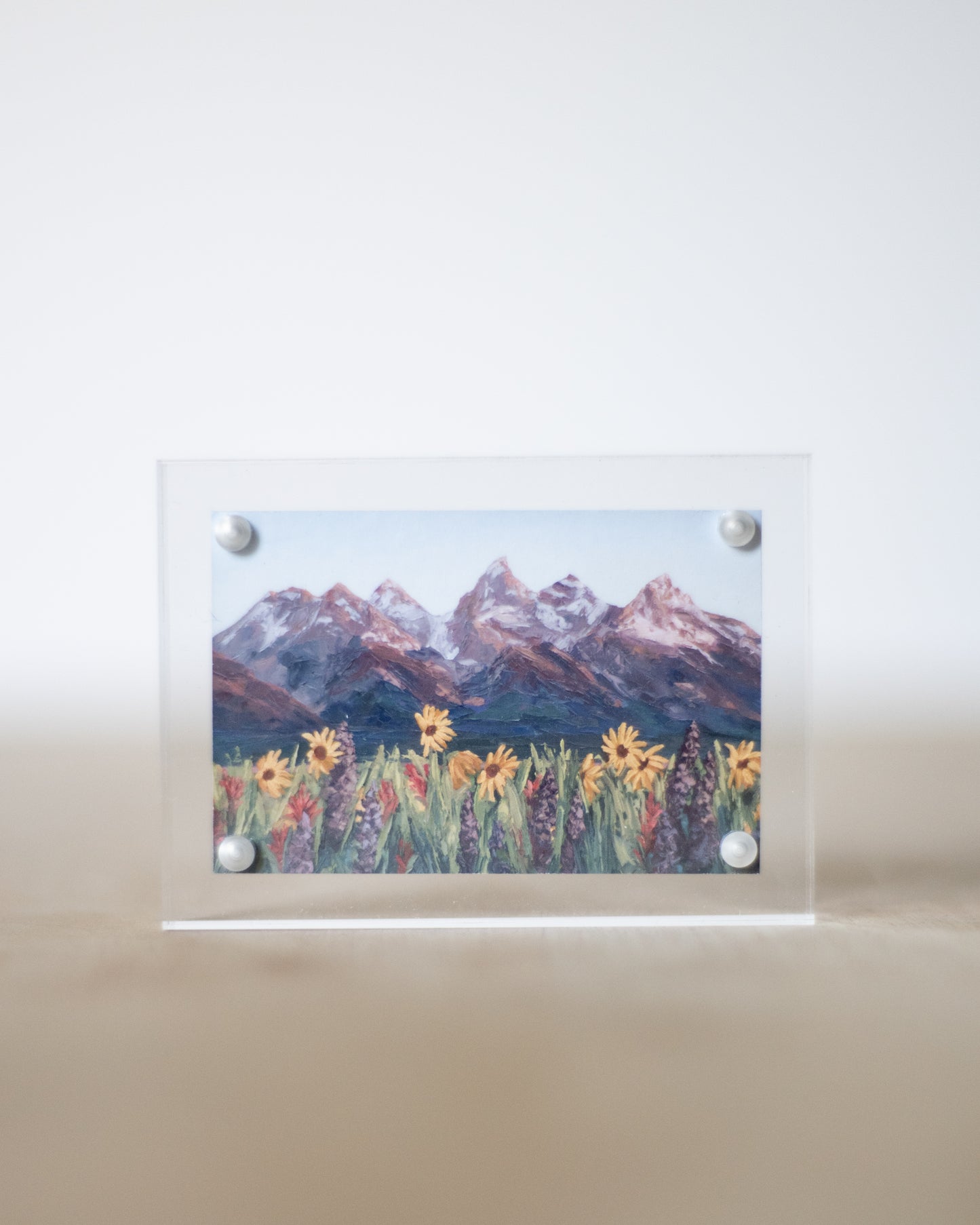 "Tetons Sharing Their Beauty With All of Nature" Mini Print