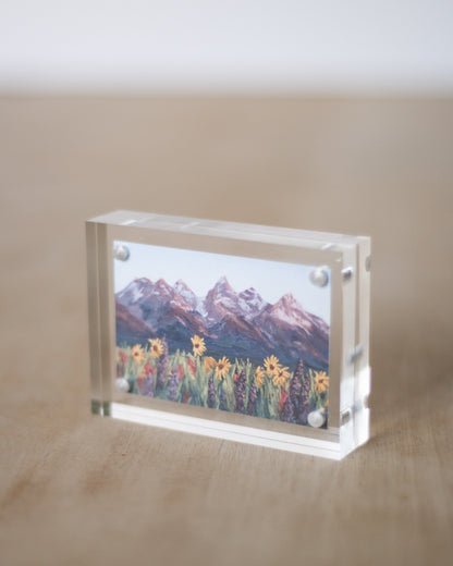 "Tetons Sharing Their Beauty With All of Nature" Mini Print
