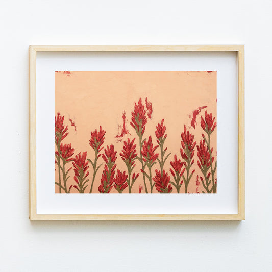 Indian Paintbrush Growing Together Print