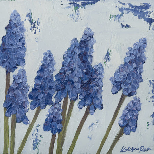 Grape Hyacinth Springing to Life Print