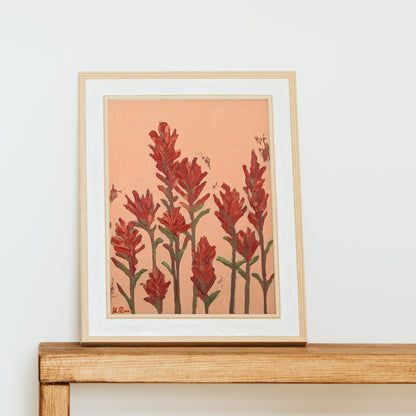 Indian Paintbrush Standing Together Print