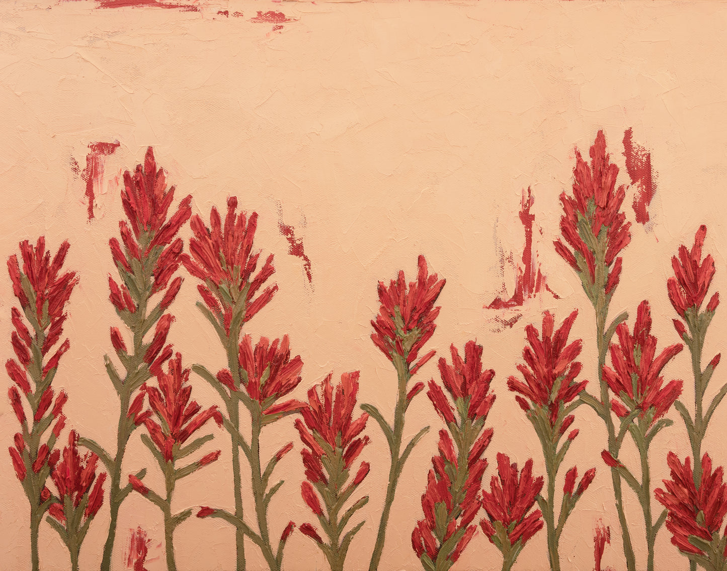 Indian Paintbrush Growing Together Print