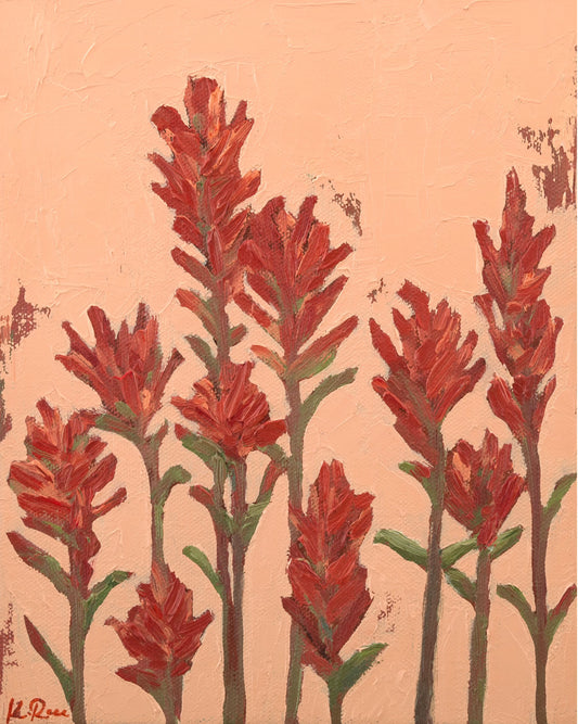 Indian Paintbrush Standing Together Print